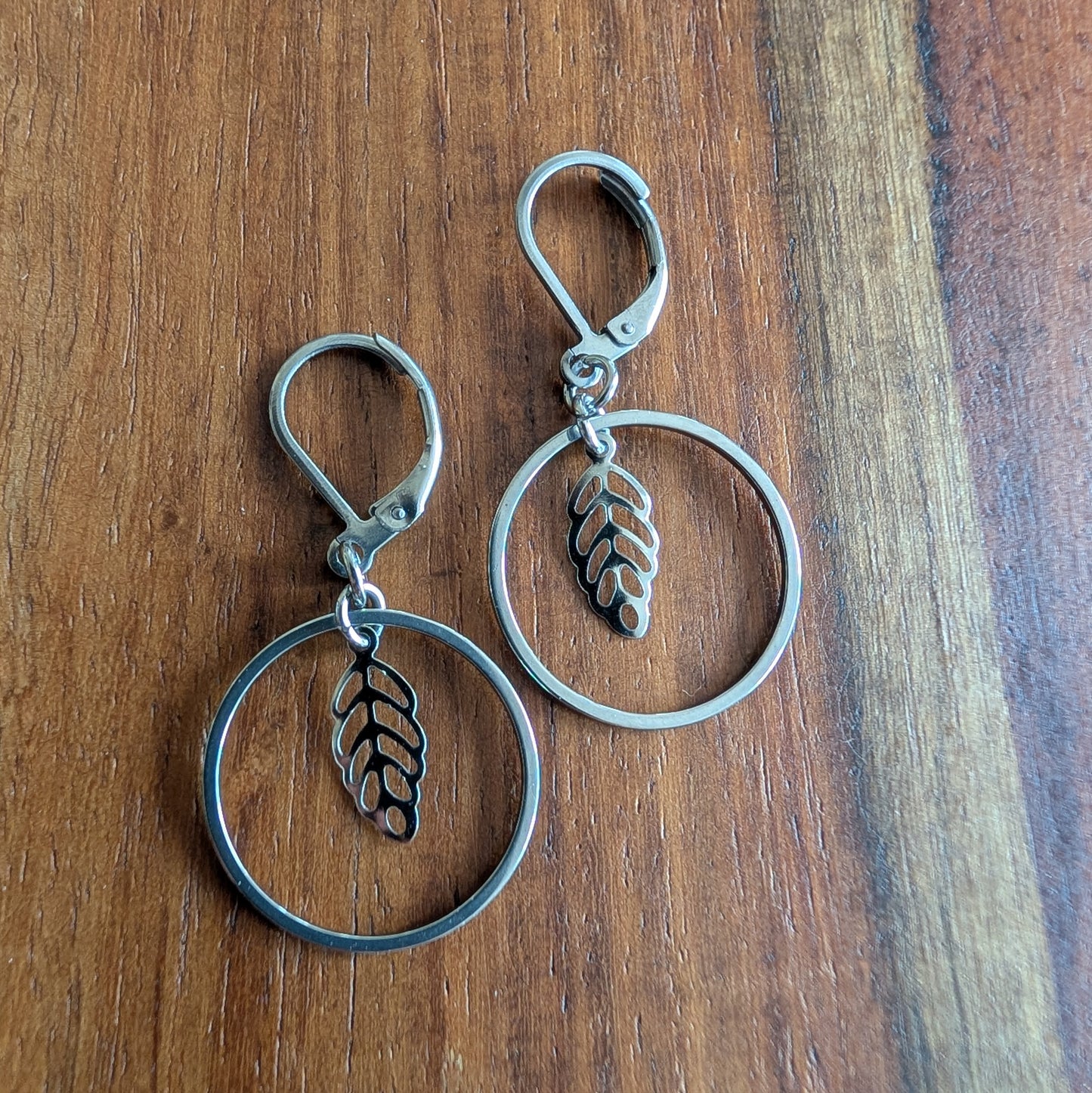 Boucles d'oreilles