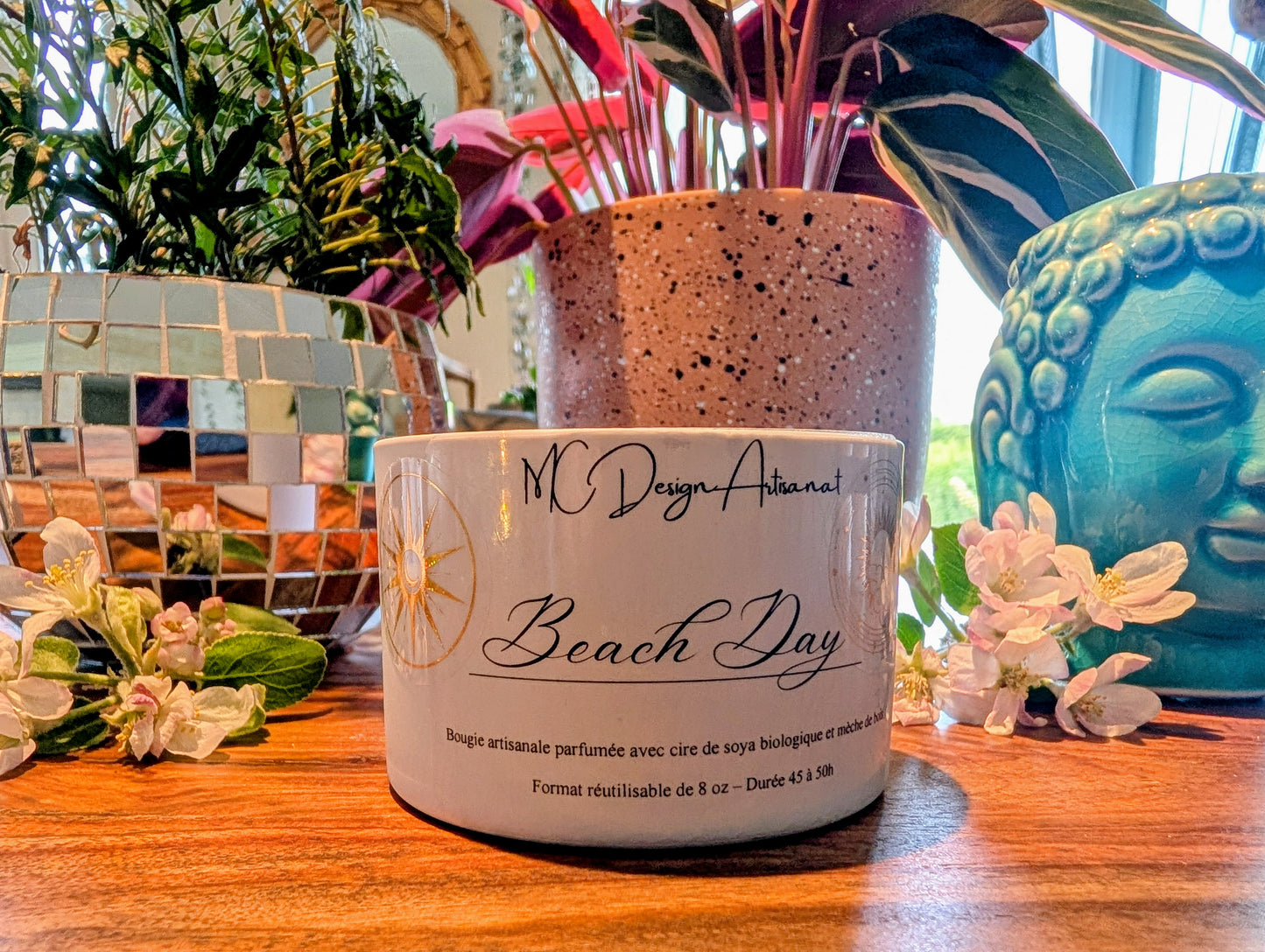 Bougie Beach Day